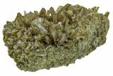 Clinozoisite Crystal Cluster - Peru #169643-1